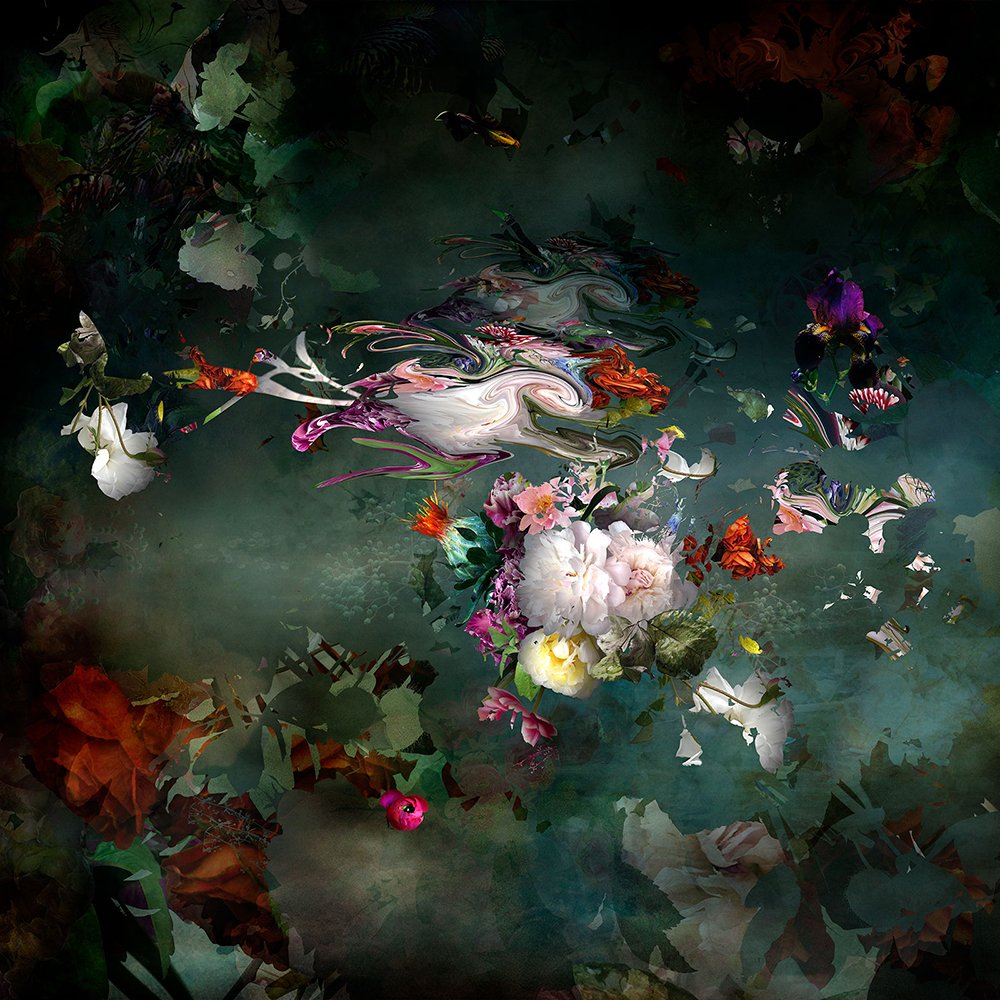 Isabelle Menin - Solstice #11- abstract floral landscape photography for  Sale