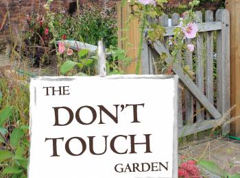 Cover image for The Don't Touch Garden